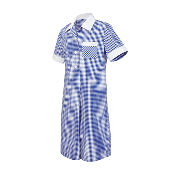 Gingham Summer Dress