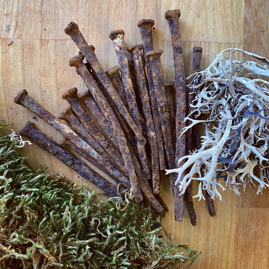 Antique Iron Coffin Nails