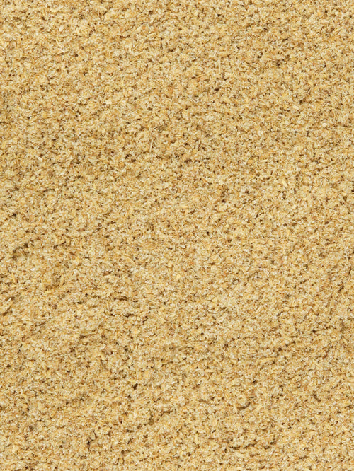 Organic Coriander Seed Powder