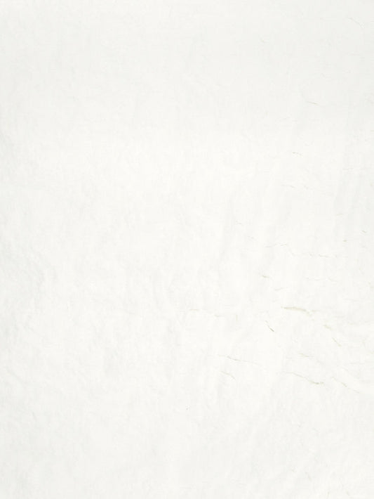 Silk Peptide Powder