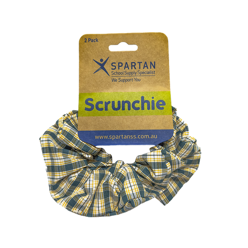 Summer Scrunchie - 2 Pack