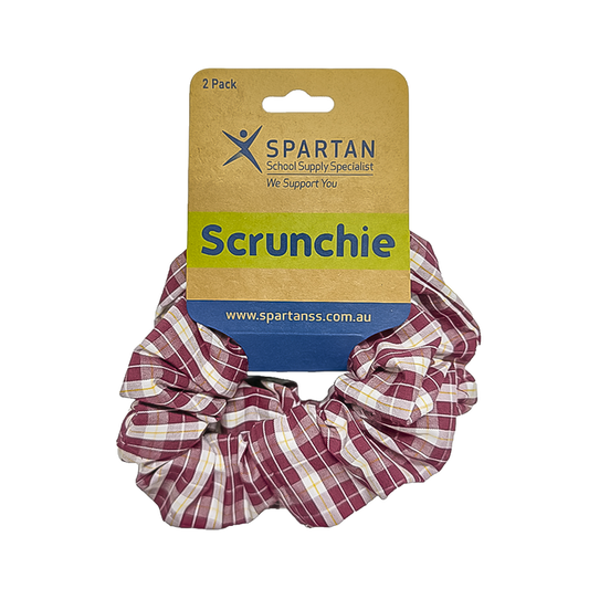Summer Scrunchie - 2 Pack