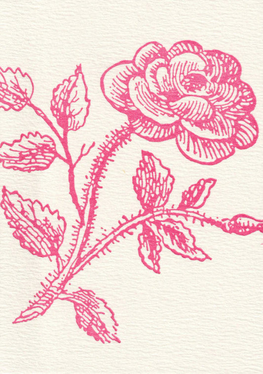 Thorn Rose, Pack of Six Note Cards | Saturn Press