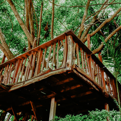 A wooden tree house built high among green leafy trees.