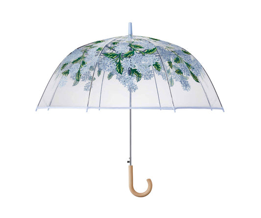 Umbrella-Hydrangea Clear